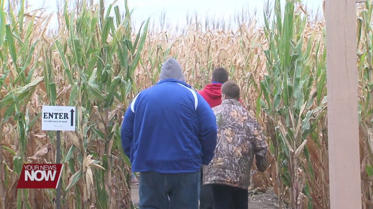 Suters corn maze offers sense of fall normalcy for local families